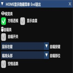 CF小蜗辅助-穿越火线端游全功能小蜗免费版工具